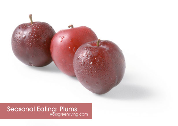 Post image for Seasonal Eating :: July :: Plums + Recipe