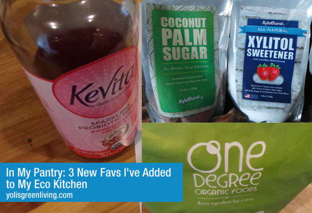 Post image for In My Pantry: 3 New Food Favs I’ve Added to My Eco Kitchen